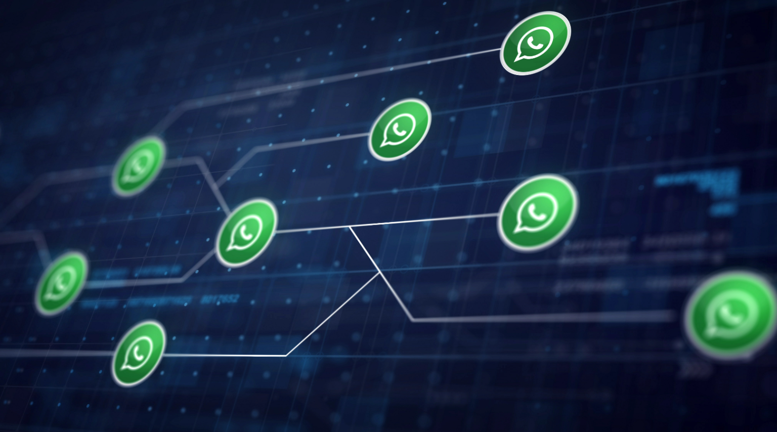 Como Criar um Botão WhatsApp Aleatório no WordPress (com Rodízio de ...